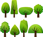 deciduous trees, forest, trees