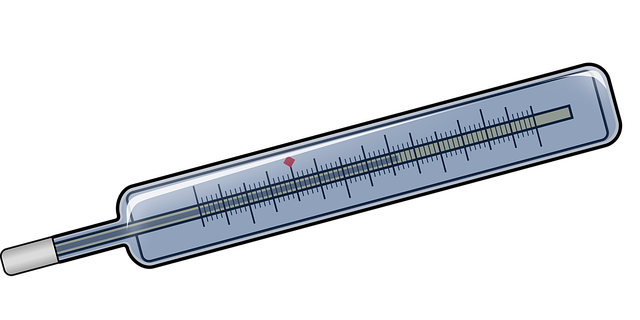 Free thermometer temperature measurement vector