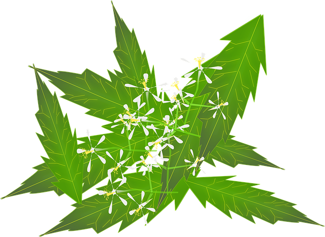 Ayurveda, Medicin, Indisk, Naturlig