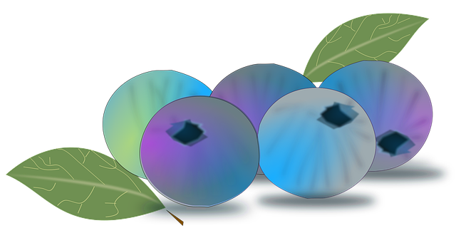 Free blueberries bilberries nature vector