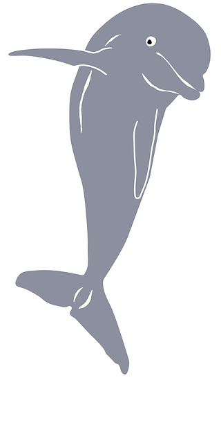 Free dolphin mammal fish vector