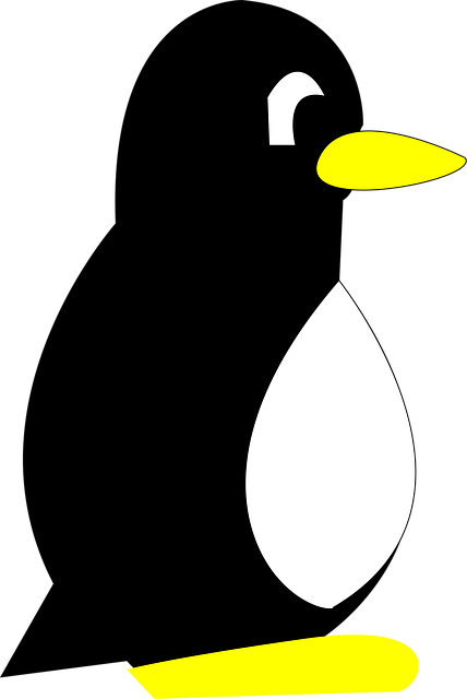 Pingvin, Tux, Dyr, Fugl