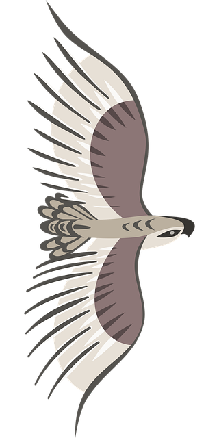 Free eagle bird nature vector
