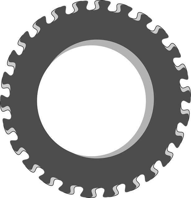 Free wheel cogs gear vector