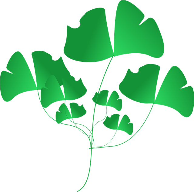 Free plant green leaves vector