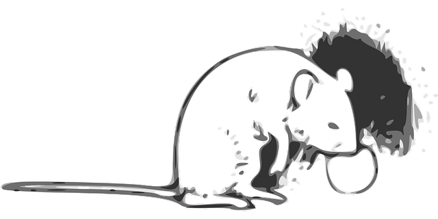 Free Mouse Nature vector and picture