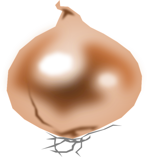 Free onion vegetable food vector