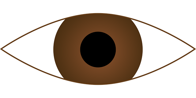 Free cornea eye eyeball illustration