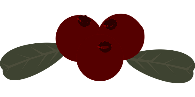 Eberesche, Beeren, Vogelbeeren, Pflanze