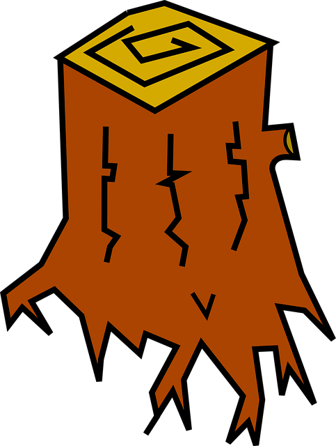 Free stump tree snag illustration