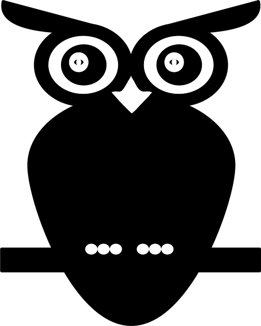 Free owl nocturnal bird animal vector