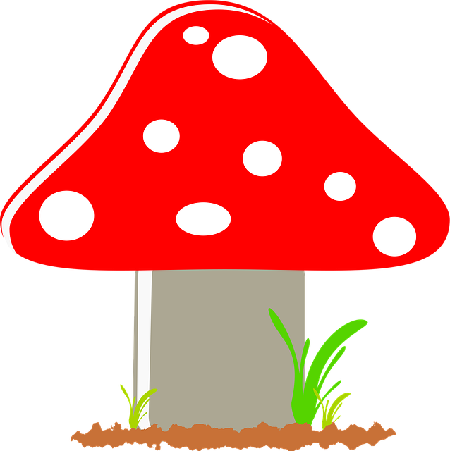 Free fly agaric mushroom toxic vector