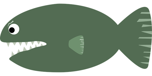 Free piranha fish teeth vector