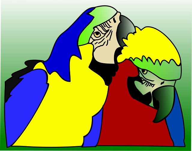 Free parrots nature birds illustration