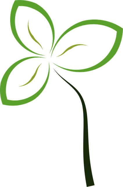 Planta, Ecologia, Abstract, Folhas
