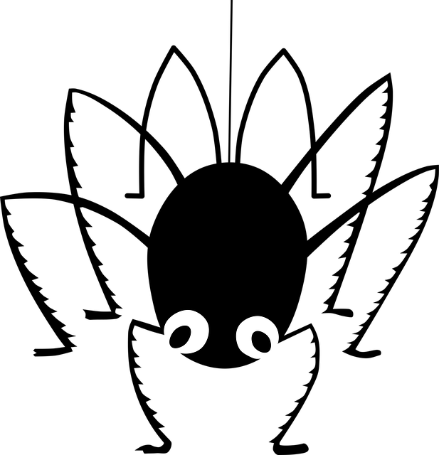 Free Arachnid Spider vector and picture