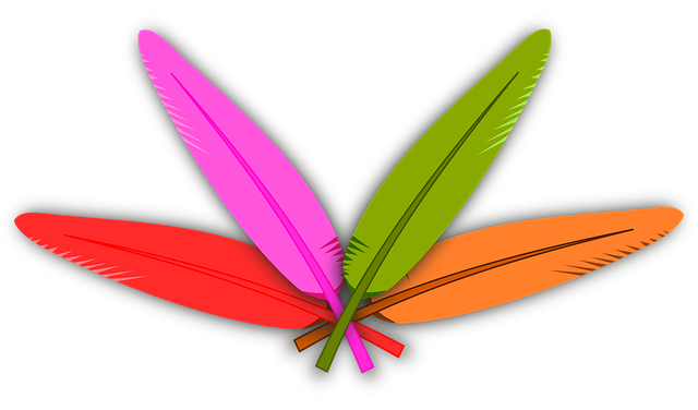 Free feathers colors nature vector