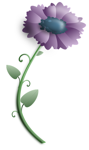 Free flower flower wallpaper nature illustration