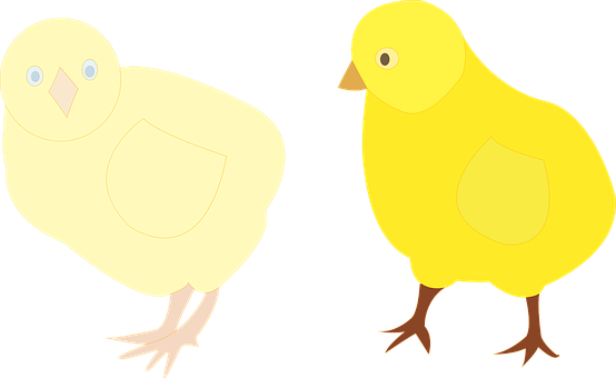 鶏 画像 無料画像をダウンロード Pixabay