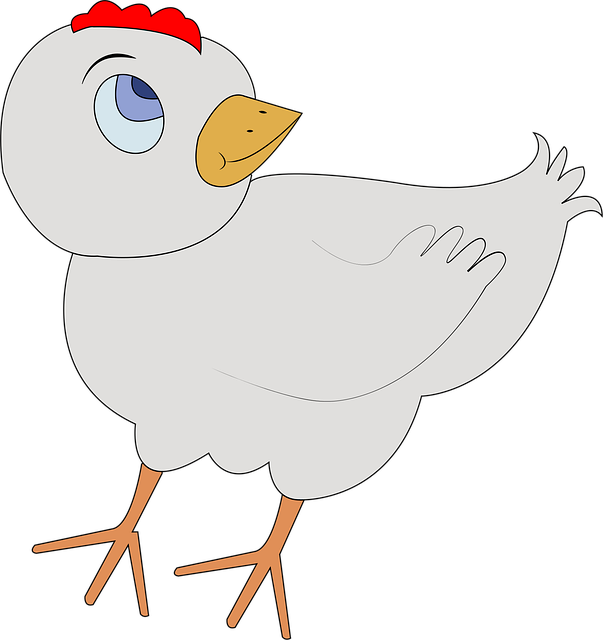 Download free HD stock image of Poultry Bird Free poultry bird nature illustration