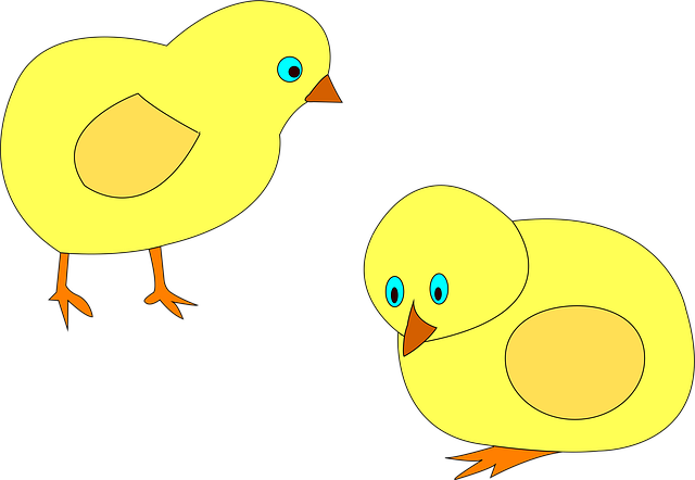 Download free HD stock image of Poultry Chicken Free poultry chicken bird illustration