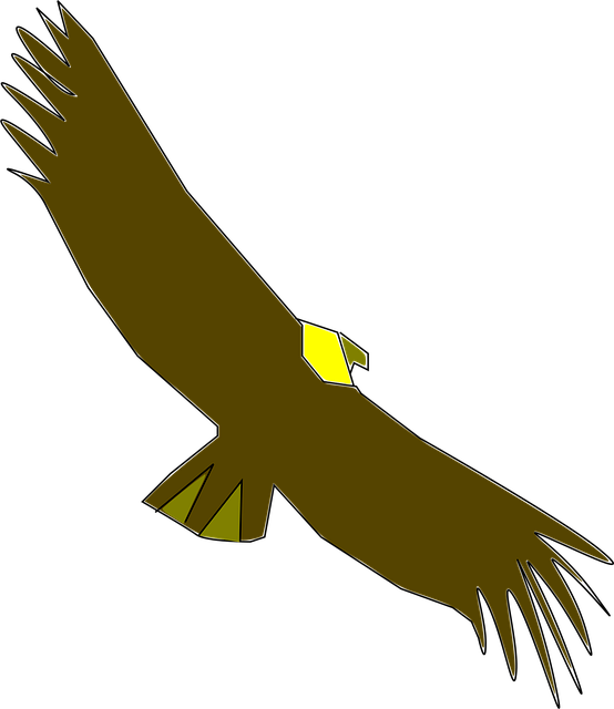 Grib, Ådselæder, Dyreliv, Dyr, Fugl