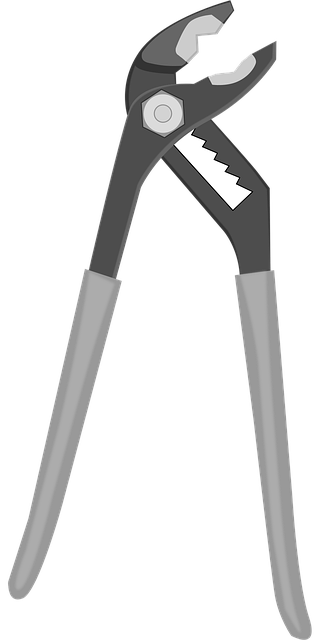 Free pliers forceps tongs vector