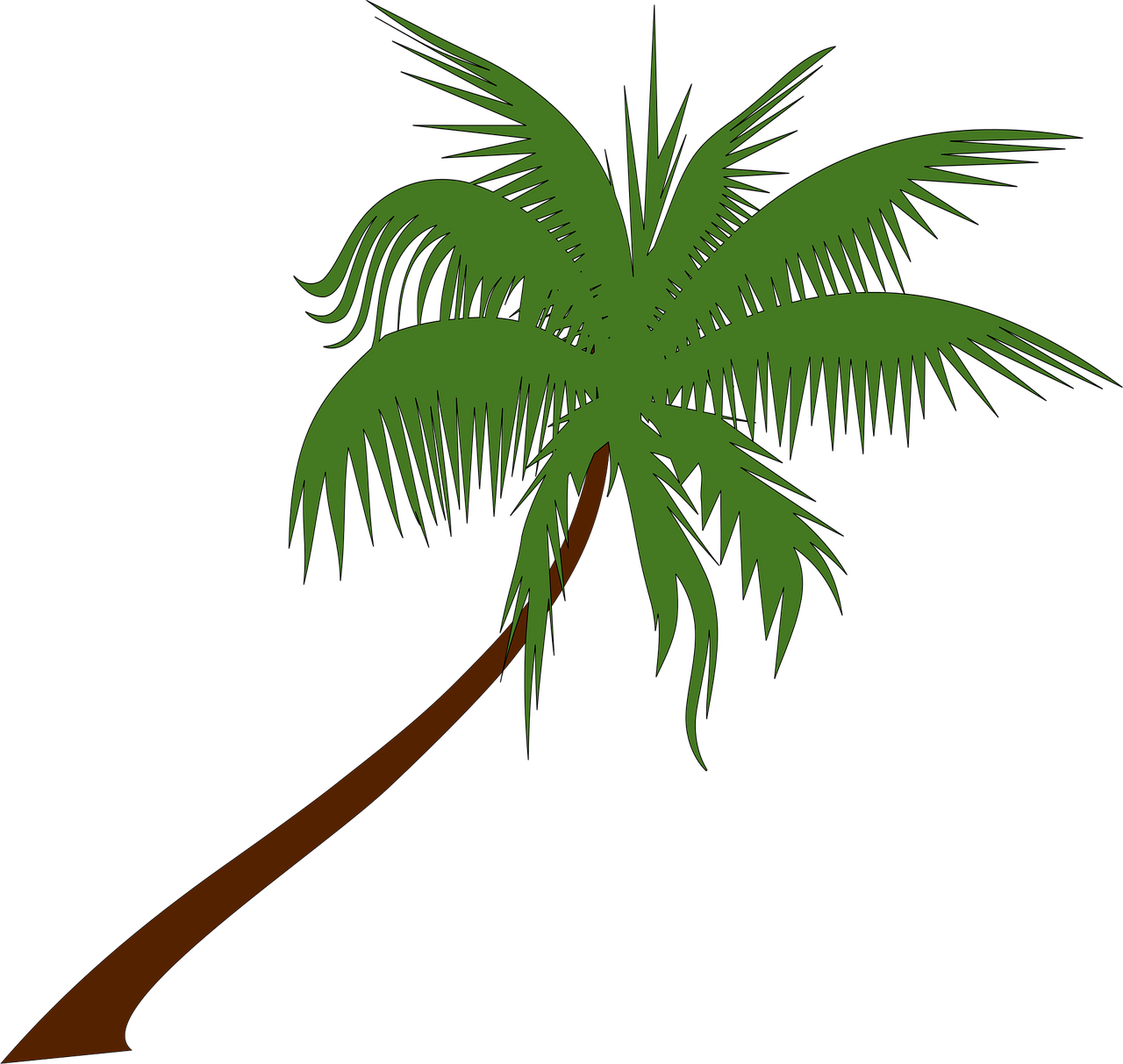 Free Palm Tree Vector Art Download 4 534 Palm Tree Icons Graphics Free Palm Tree Vector Art Download 4 534 Palm Tree Icons Graphics