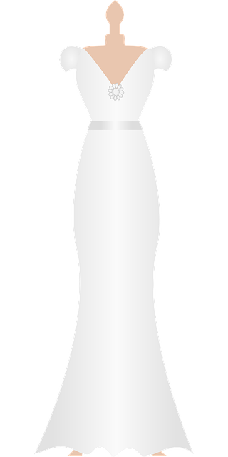 Free wedding dress bridal white vector