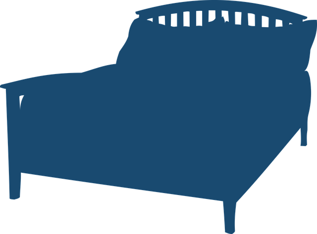 Free bed dream furniture vector