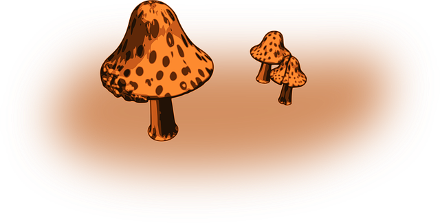 Free fungi fungus mushrooms vector