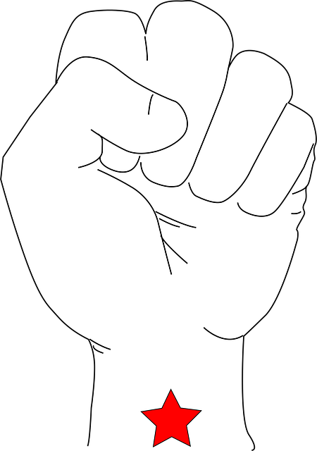 Free fist power star vector