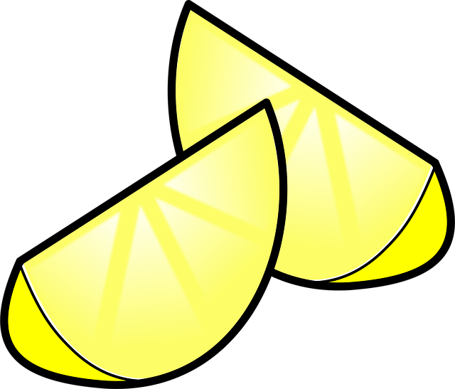 Free lemon sliced two vector
