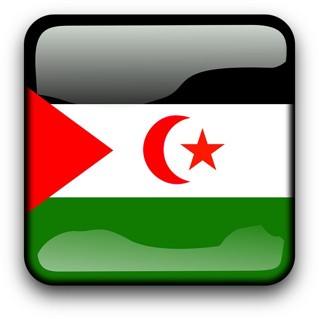 Free western sahara flag country vector