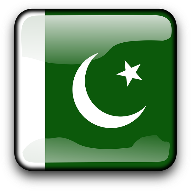 Free pakistan pakistan flag flag illustration