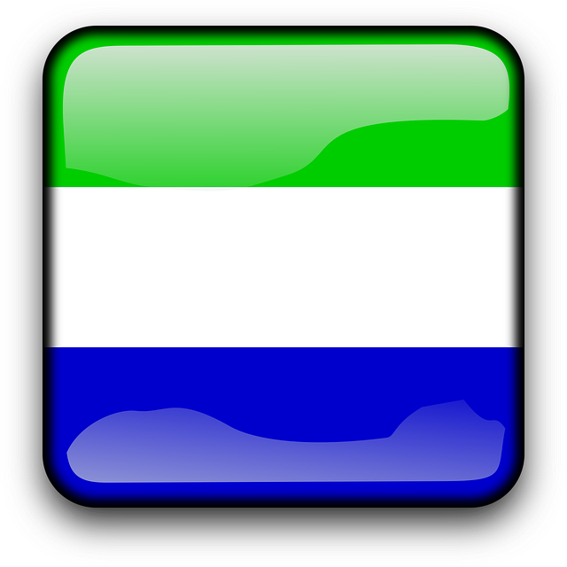 Free sierra leone flag country vector
