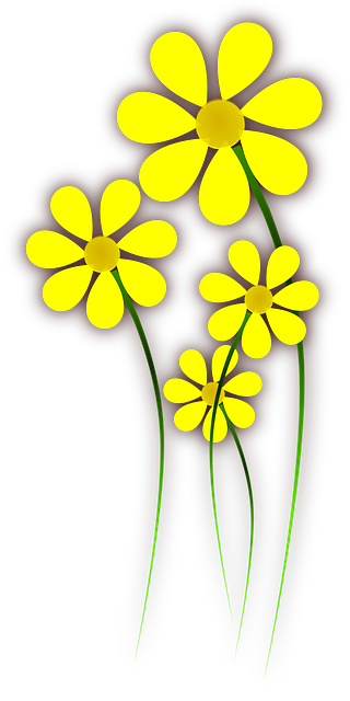 Free flowers blossom blooming vector