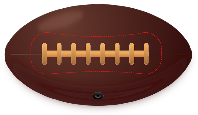 Free ball equipment football vector