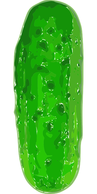 Free gherkin cucumber green vector