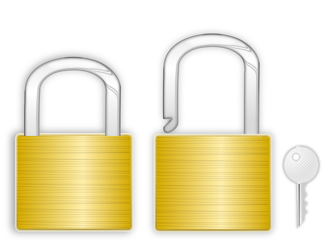 Lock for the gate: choice and options Lock for the gate: choice and options