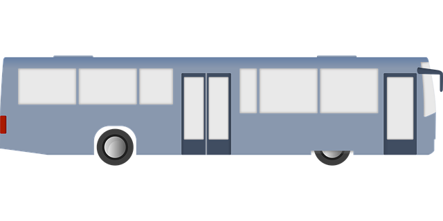 Free bus transportation transport vector