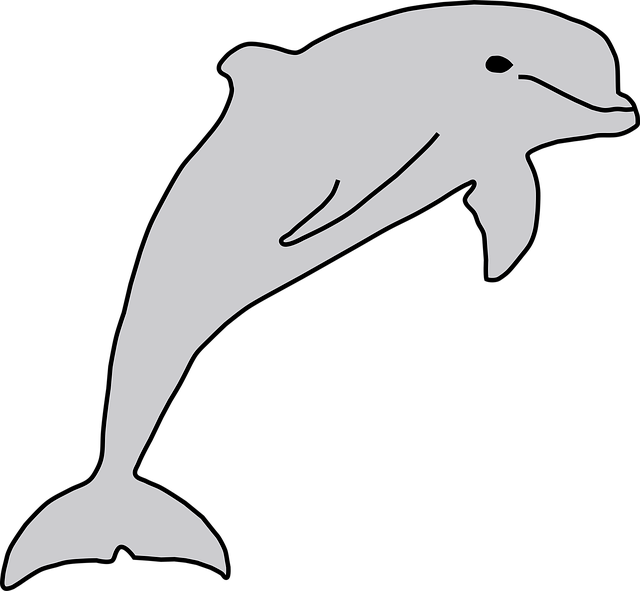 Yunus Balık Sea Life Denizde · Pixabay�da ücretsiz vektör grafik