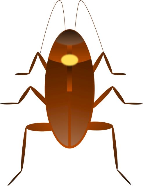 Free cockroach insect ugly vector