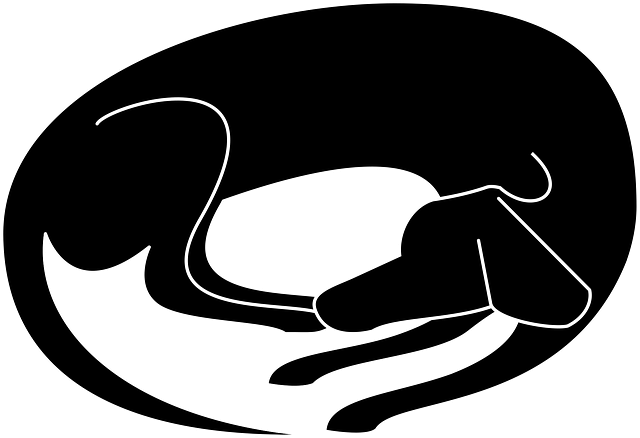 Free dog pet animal vector