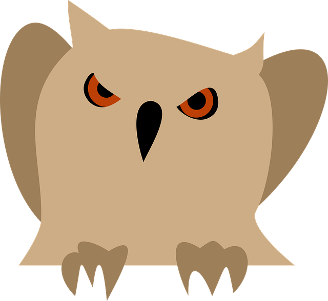 Free owl animal bird vector
