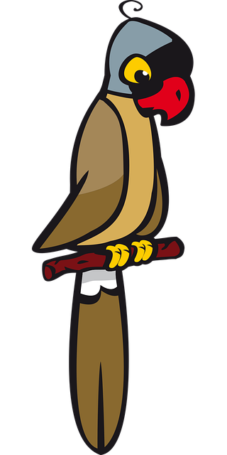 Free Bird Parrot vector and picture