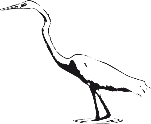 Free bird egret marsh illustration