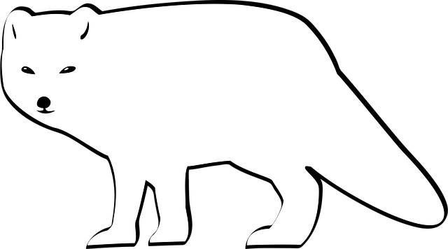 Free fox animal arctic illustration