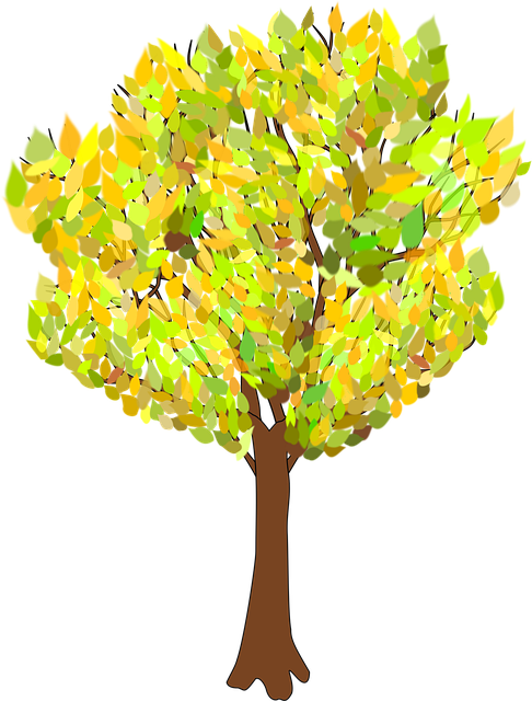 Download free HD stock image of Tree Autumn Free tree autumn branches vector