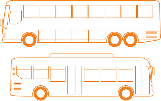 Free bus coach transit vector